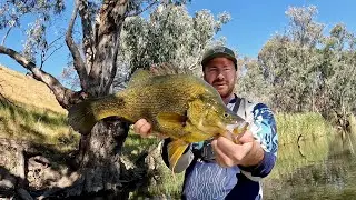 Yellowbelly LOVE This Lure!