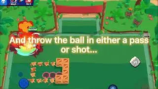 How to Quad Flick