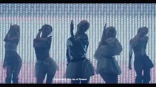 [Reversed] ARTMS 'Flower Rhythm'