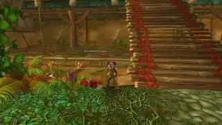 WOW TBC Classic- I solo farmed my ZG raptor mount as a shadow priest
