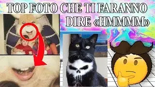 TOP FOTO PAZZE SENZA SENSO DISGRAZIATE