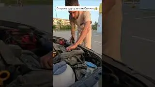 Кедровое масло в двигатель 😆 #шортс #shorts