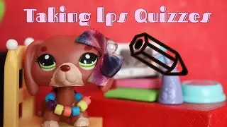 Taking lps quizzes|shypuplps