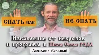 Почему Сатья не спит с Женой 💚 Любомир Вольный ☀️ Школа Семьи Рада 🕊