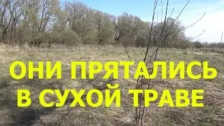 THIS WALK MADE MY HAIR STAND ON END!