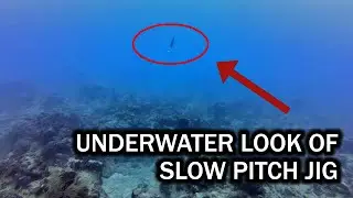 Underwater Look at Slow Pitch Jig
