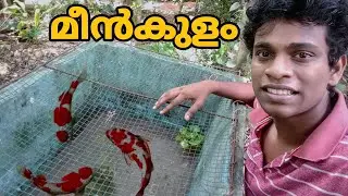 FISH TANK RECONSTRUCTING 😜|മീൻകുളം ready ആക്കി guys 😍|MALAYALIS STUDIO