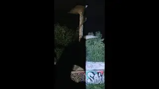 Tomáš Loužný: Extáze