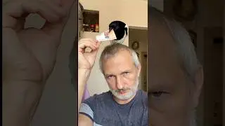 No paper! Only money, please! #домашняя #сорока #Винч #vinchago