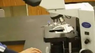 Microscope Basics Pt 1