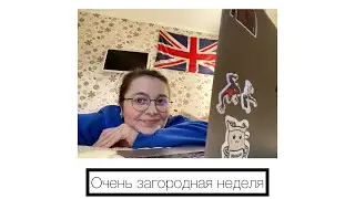 20. Загородный влог / много работаю, немного сдаю экзамены, размышляю о мусоре и консьюмеризме