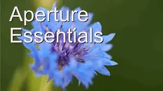 Aperture Essentials: Understanding Aperture, Depth of Field, and Diffraction