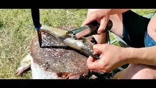 Рыбочистка аккумуляторная от RUSTRAIL