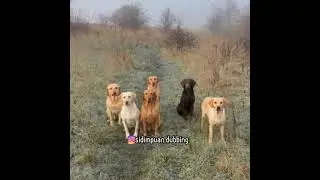 video lucu viral 2023🤣