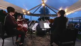 String Quartet No. 14, Opus 105 No. 2 - ii (Antonín Dvořák)