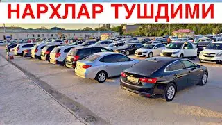 SAMARQAND MOSHINA BOZORI 2024. САМАРКАНД МОШИН БОЗОР 2024. MOSHINA NARXLARI 2024