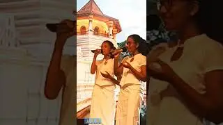 මගේ රටට දළදා හිමි සෙවණයි