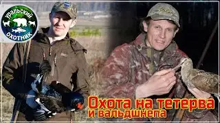 Spring hunting for black grouse and woodcock in the Southern Urals.