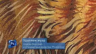 Удаляем муар с изображения в Photoshop