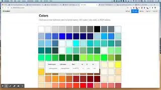 Python Turtle Color Demo