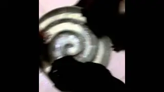 щеночки
