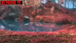 OLAFNI KALLASI QATTA | UZ PRIKOL TV