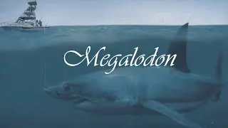 Megalodon // O Gigante dos oceanos