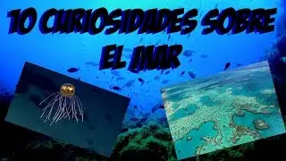 10 CURIOSIDADES SOBRE EL MAR