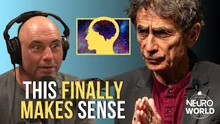 The REAL Cause of ANXIETY Revealed | Joe Rogan & Dr. Gabor Maté