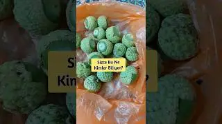 Sizce Bu Ne 🤔🫨#nedirnedeğildir #youtube #keşfet #bestvideo #shorts #shortsvideo #youtubeshorts