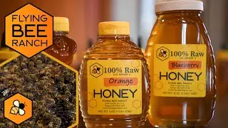 Flying Bee Ranch - Salem, Oregon's only Honey Tasting Room