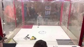 Vibe Check vs Hammerabi 2 (Taproom Tapout)