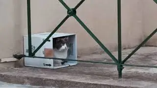 Picard got the last rent-controled Vaticat condo!