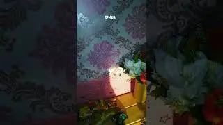 terkadang planing ngga sama dengan ending 