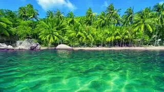 WATER WAVES NATURE SCENE || FREE FOOTAGE