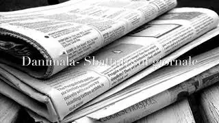 Danimala - sbattuti sul giornale - 2014