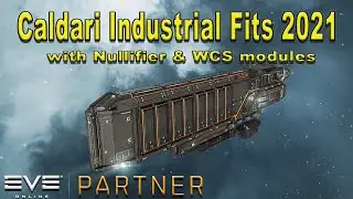 Eve Online - Caldari Hauling Ship Fits Alpha & Omega after WCS/Nullification Update 2021