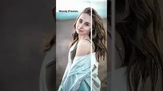 Lightroom Desktop Presets |  