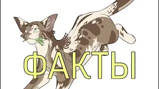 Факты о Пустельге|«Коты-Воители»