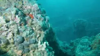 Luana shipwreck