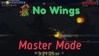 1.4: Mechanical Bosses Master mode, no Wings - Hardcore highlight