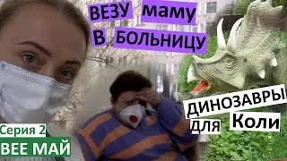 Серия 2 /  Везу маму в больницу / что говорят врачи / планирую Колин праздник / Дима бъет тарелку