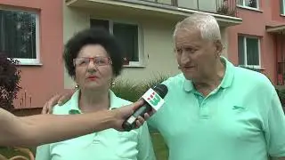 Výsadba v meste a súťaž najkrajšia predzáhradka 2023