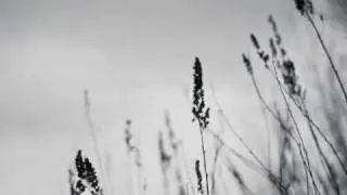Dark Ambient Music - Frozen