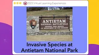 Invasive Species at Antietam National Park & the National Mall - 2023 Virtual Learning Experiences