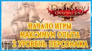КАК ПОЛУЧИТЬ МАКСИМУМ ОПЫТА В НАЧАЛЕ ИГРЫ 🔪 ЛЮБАЯ СЛОЖНОСТЬ,КЛАСС И РАСА 🔥Divinity Original Sin 2 DE