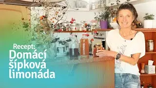 Domácí fermentovaná limonáda 🍸