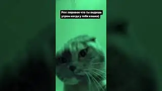 Ну доброе утро кожаный мешок😅 