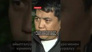 26 августа 2024 г.