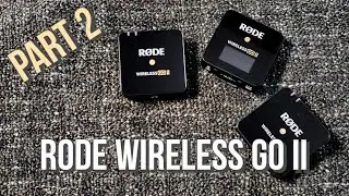Season 2024: vlog #13 - Rode Wireless Go II Part 2 | Kucing Mati???